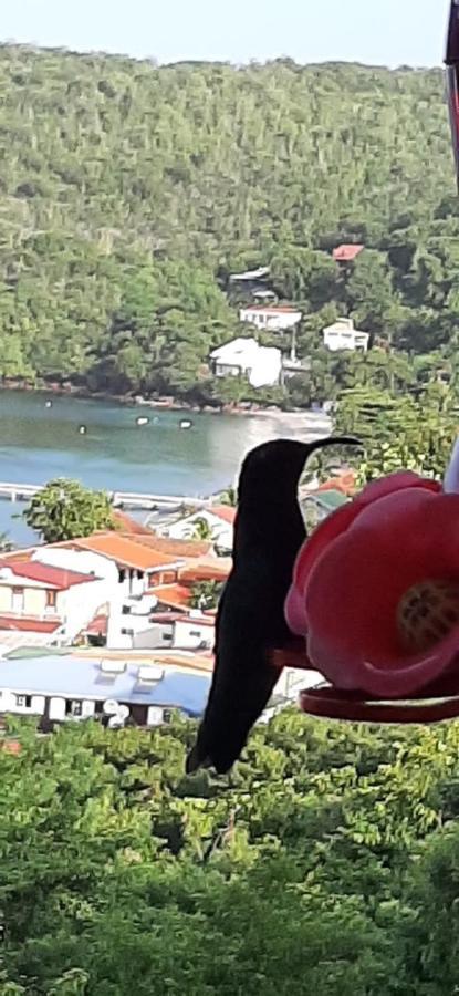 Appartement Colibri , Les Anses D 'Arlet Экстерьер фото